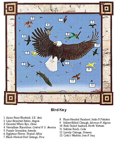 Animal Allegories
