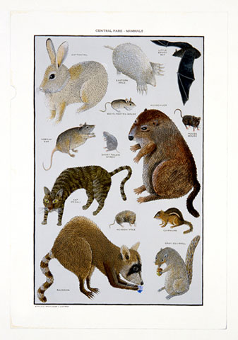 Coloring Book Paintings