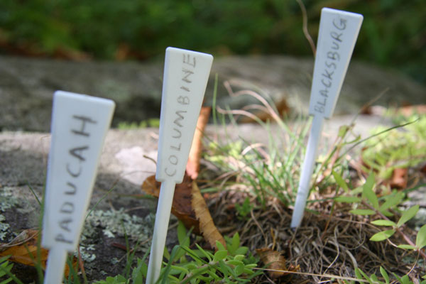 Flower Markers
