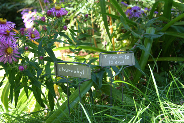 Flower Markers