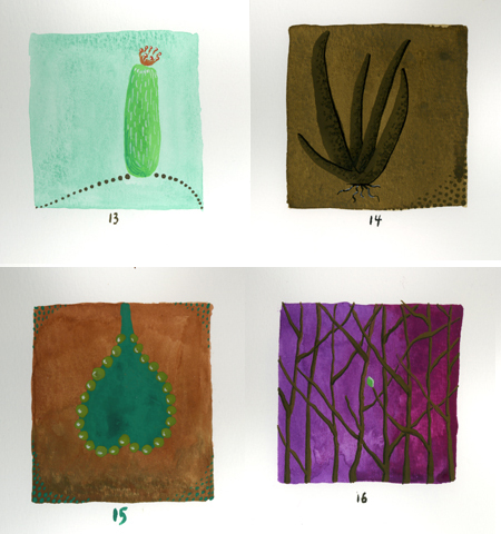A Plant a Day
