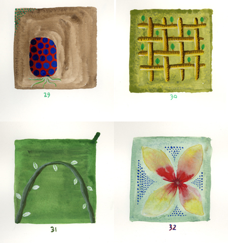 A Plant a Day