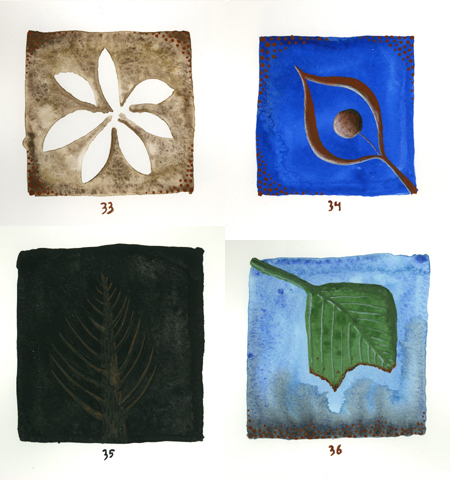 A Plant a Day