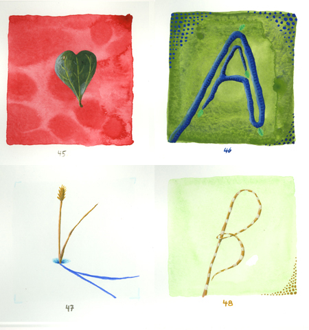 A Plant a Day