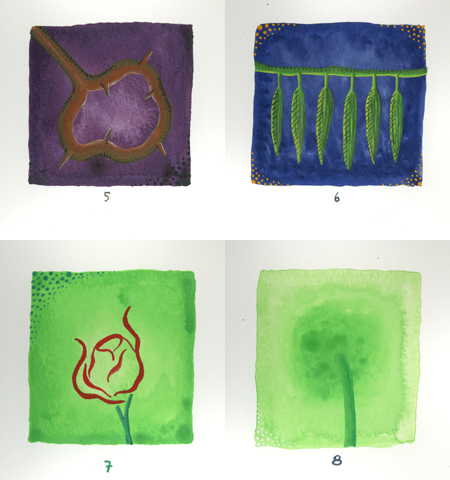 A Plant a Day